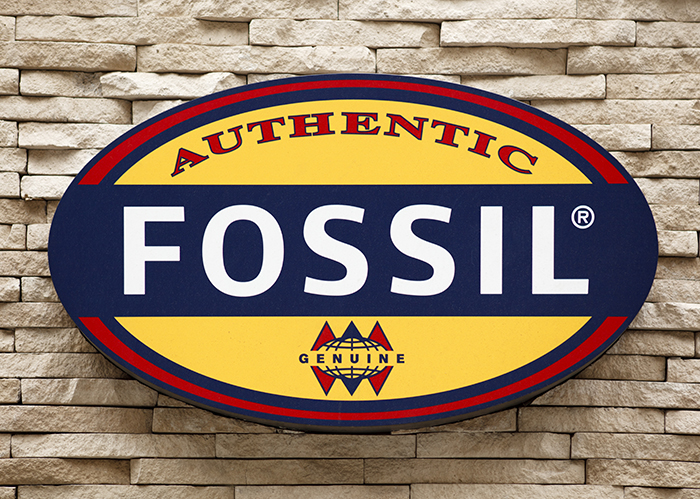 Cara Membedakan Fossil Asli dan Palsu